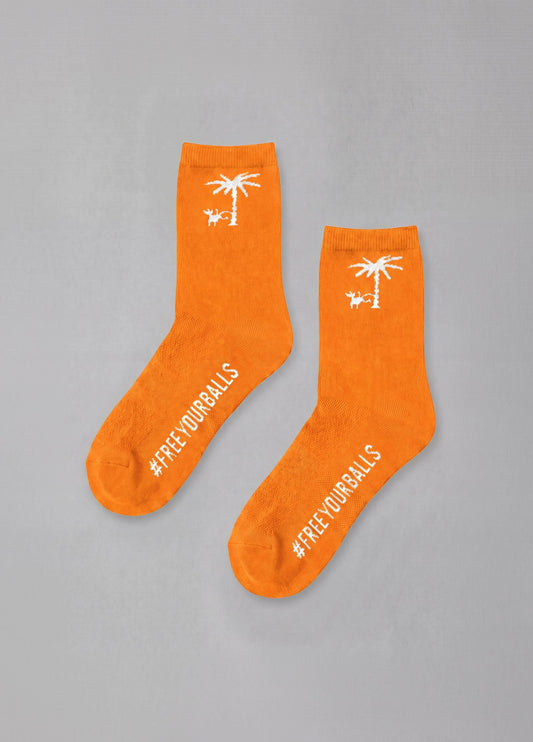 SPICE DOG PALM SOCKS